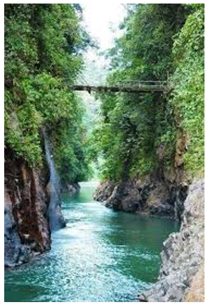 sendero del parque
